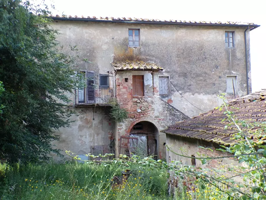 Immagine 42 di Casa colonica in vendita  a Palaia