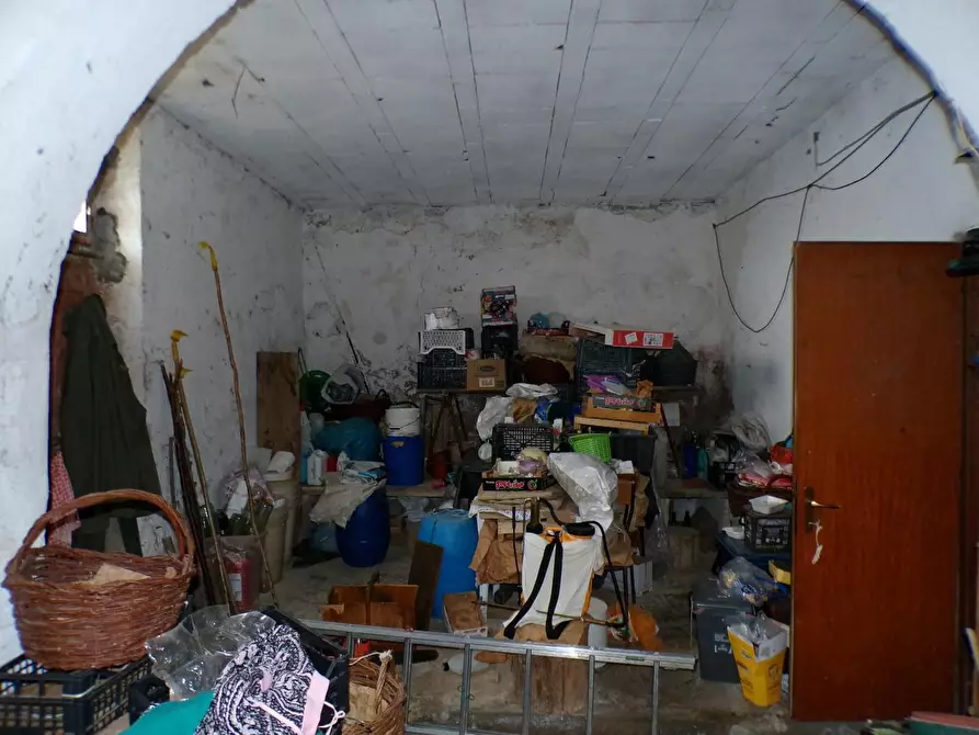 Immagine 3 di Casa colonica in vendita  a Palaia