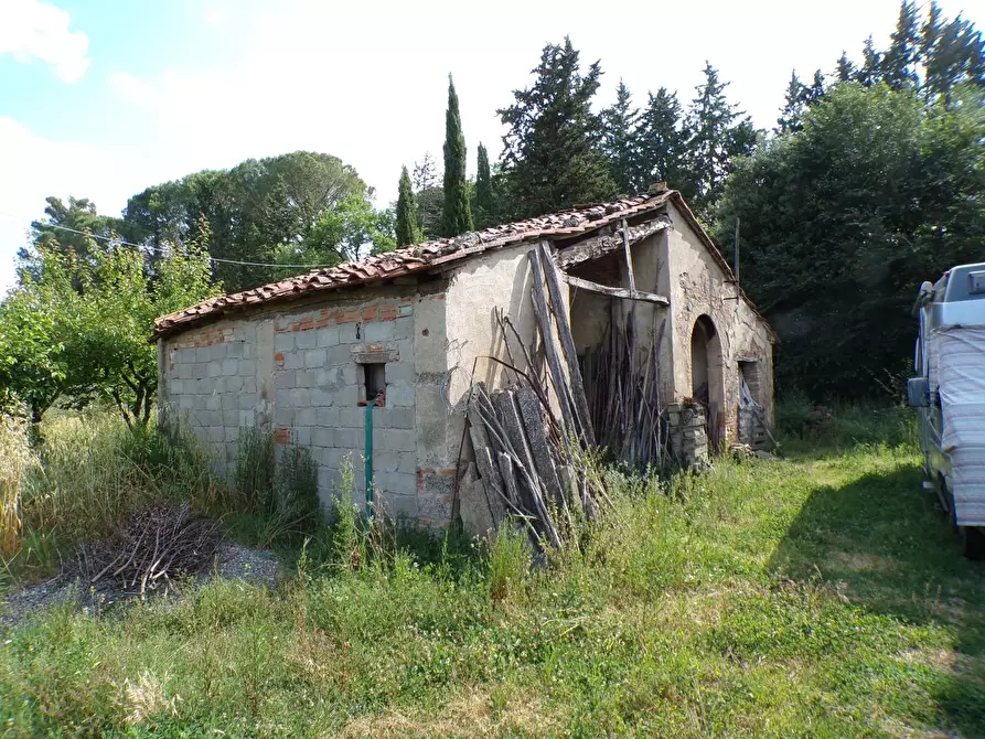Immagine 36 di Casa colonica in vendita  a Palaia