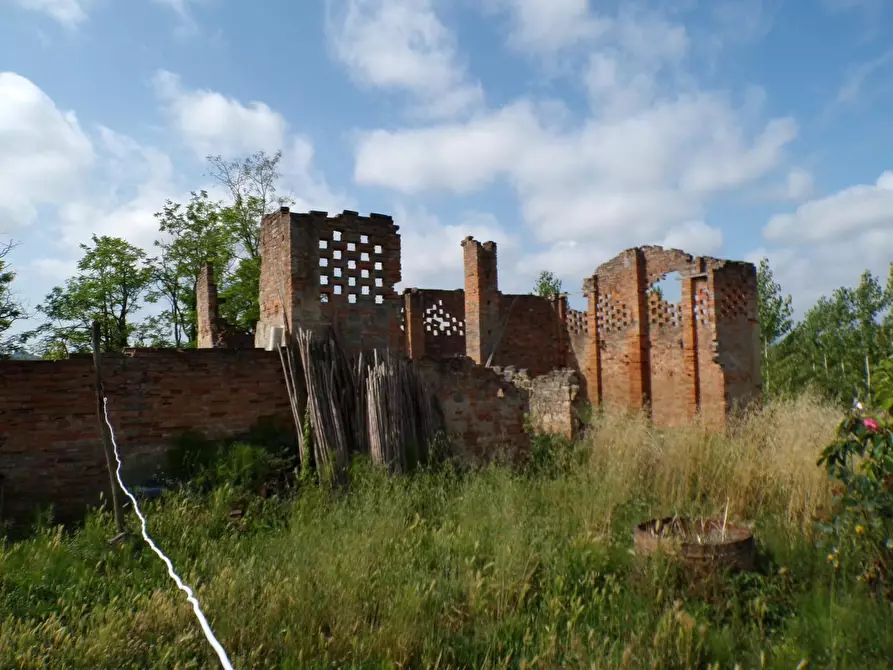 Immagine 34 di Casa colonica in vendita  a Palaia