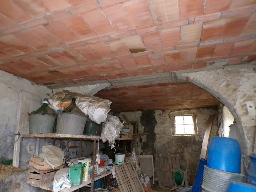 Immagine 21 di Casa colonica in vendita  a Palaia