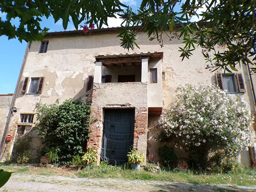 Immagine 49 di Casa colonica in vendita  a Palaia