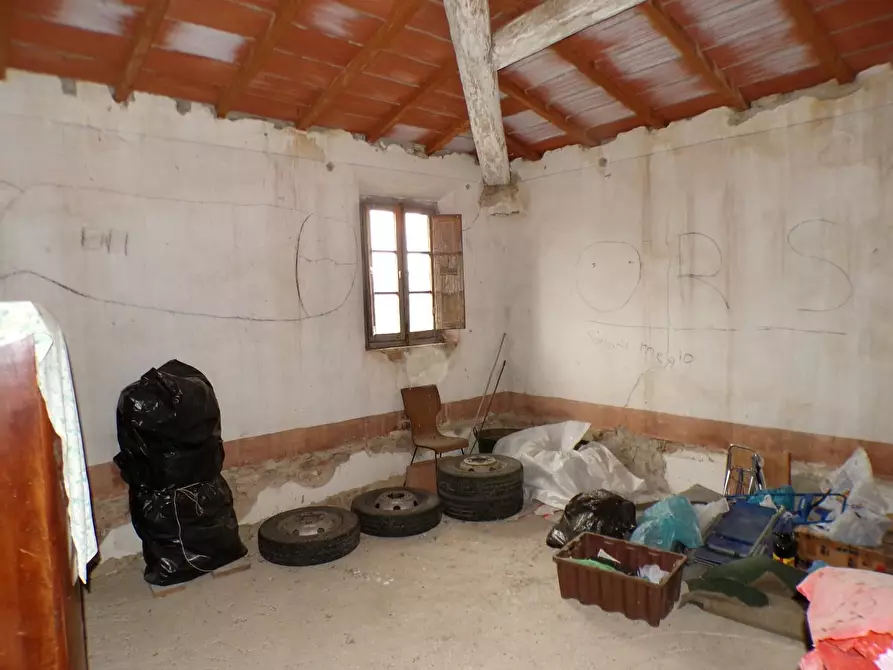 Immagine 24 di Casa colonica in vendita  a Palaia