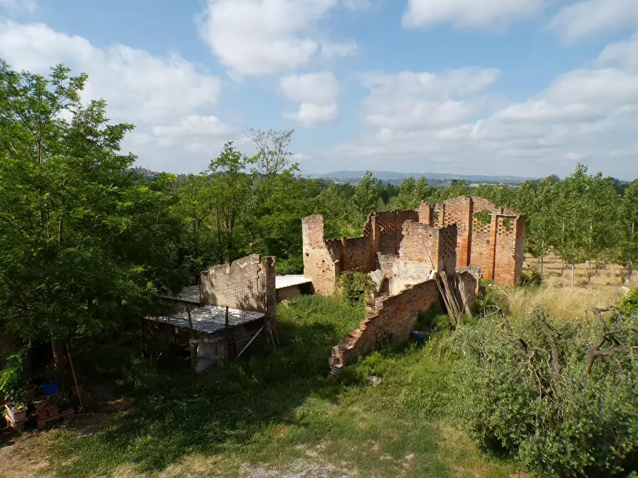 Immagine 51 di Casa colonica in vendita  a Palaia