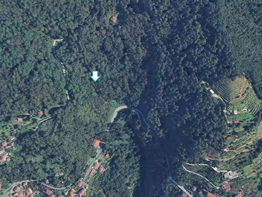 terreno agricolo in vendita a Massa in zona Bargana