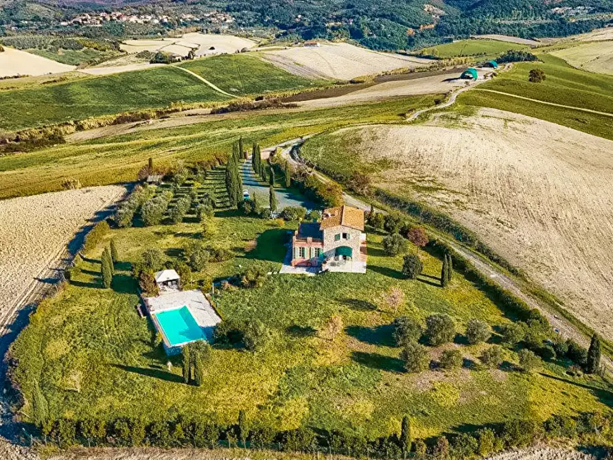 Immagine 4 di Villa in vendita  a Santa Luce