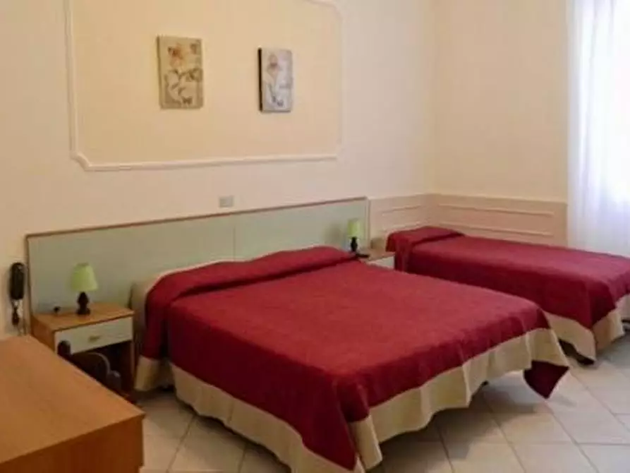 Immagine 22 di Albergo/B&B/Residence in vendita  a Viareggio