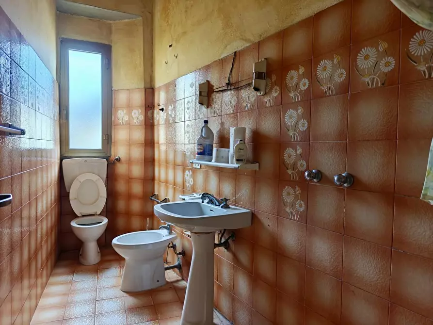 Immagine 6 di Villa in vendita  a Camaiore