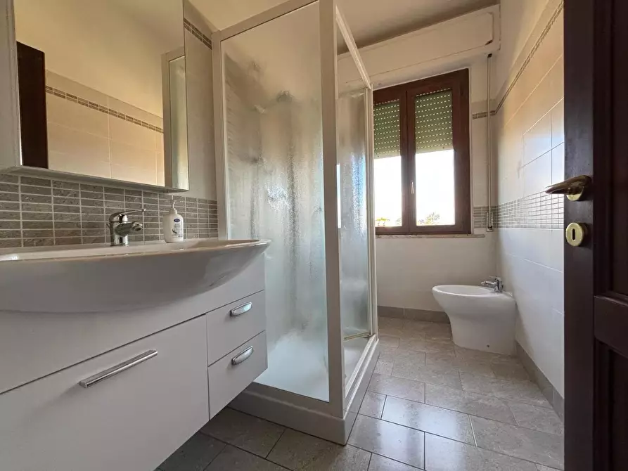 Immagine 10 di Appartamento in vendita  a Terricciola