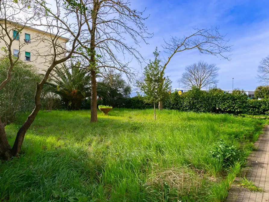 Immagine 41 di Appartamento in vendita  a Pontedera