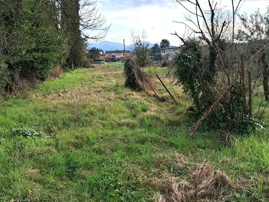 Immagine 3 di Terratetto in vendita  a Capannori