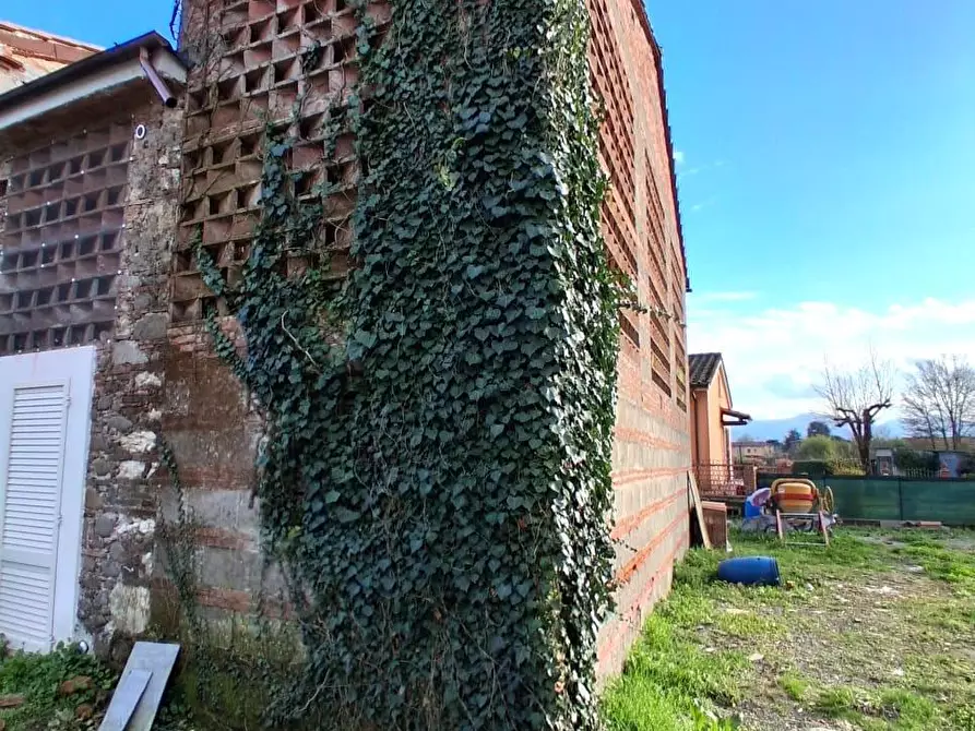 Immagine 5 di Terratetto in vendita  a Capannori