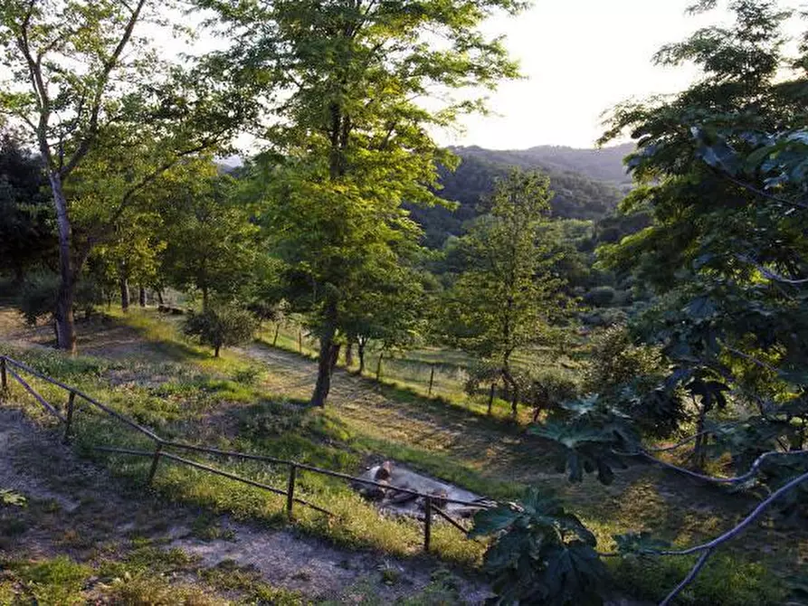 Immagine 4 di Appartamento in affitto  a Pontedera