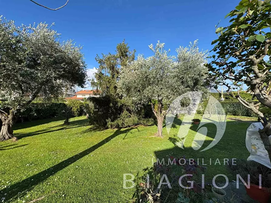 Immagine 5 di Villa in vendita  a Forte Dei Marmi