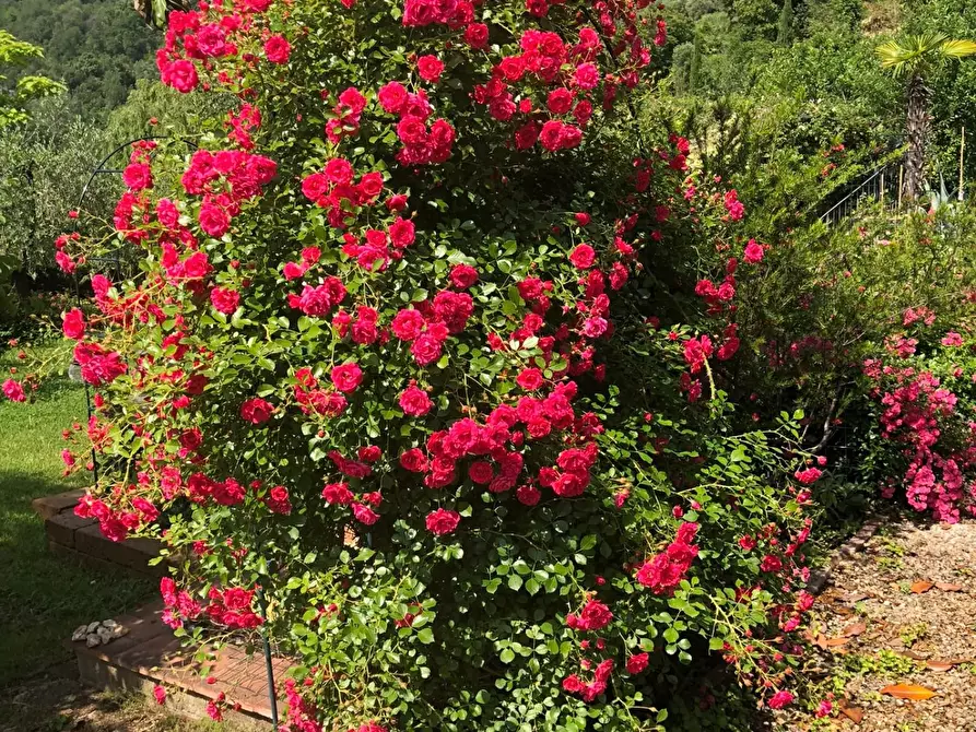 Immagine 16 di Villa in vendita  a San Miniato