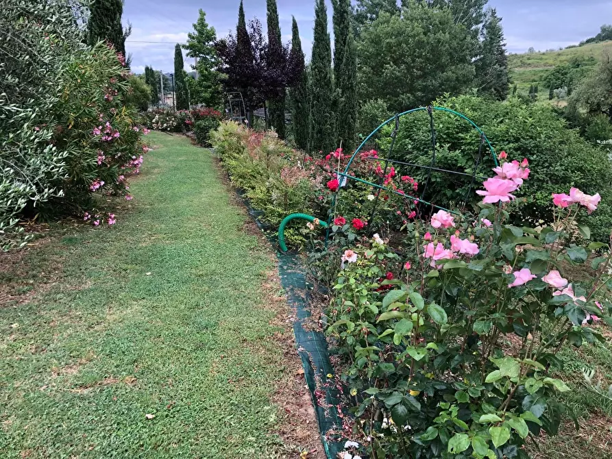 Immagine 26 di Villa in vendita  a San Miniato