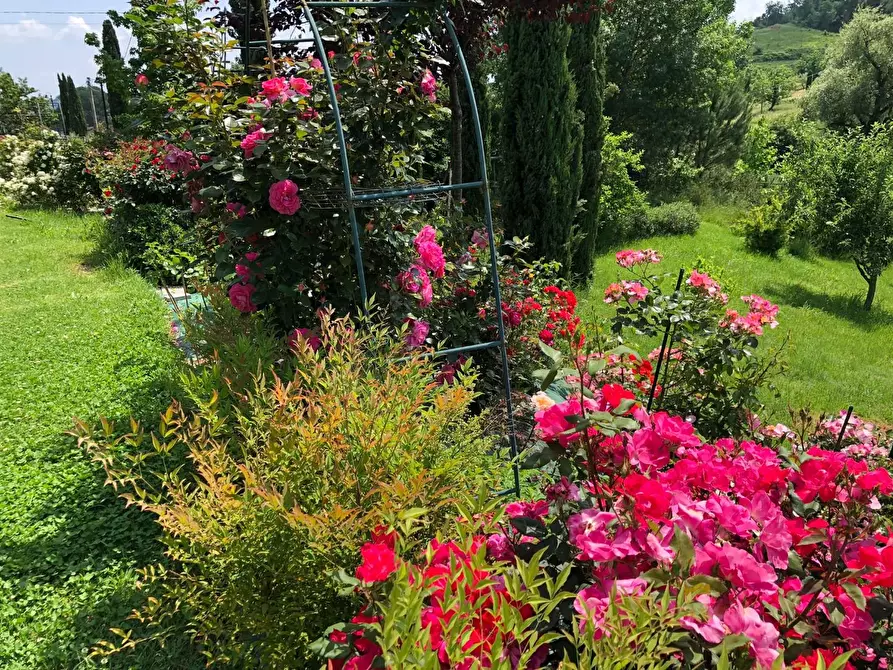 Immagine 12 di Villa in vendita  a San Miniato