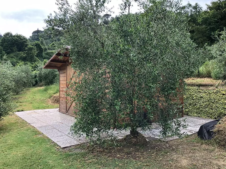 Immagine 19 di Villa in vendita  a San Miniato