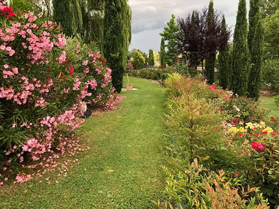 Immagine 31 di Villa in vendita  a San Miniato