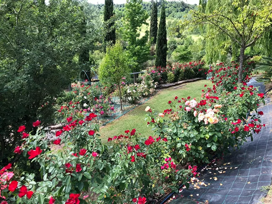 Immagine 22 di Villa in vendita  a San Miniato