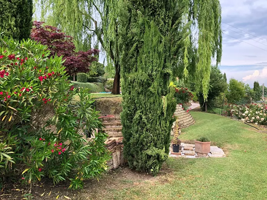 Immagine 21 di Villa in vendita  a San Miniato