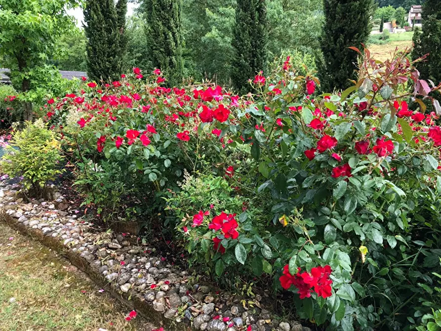 Immagine 17 di Villa in vendita  a San Miniato