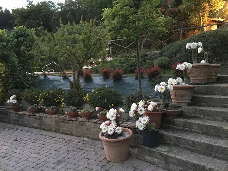 Immagine 35 di Villa in vendita  a San Miniato