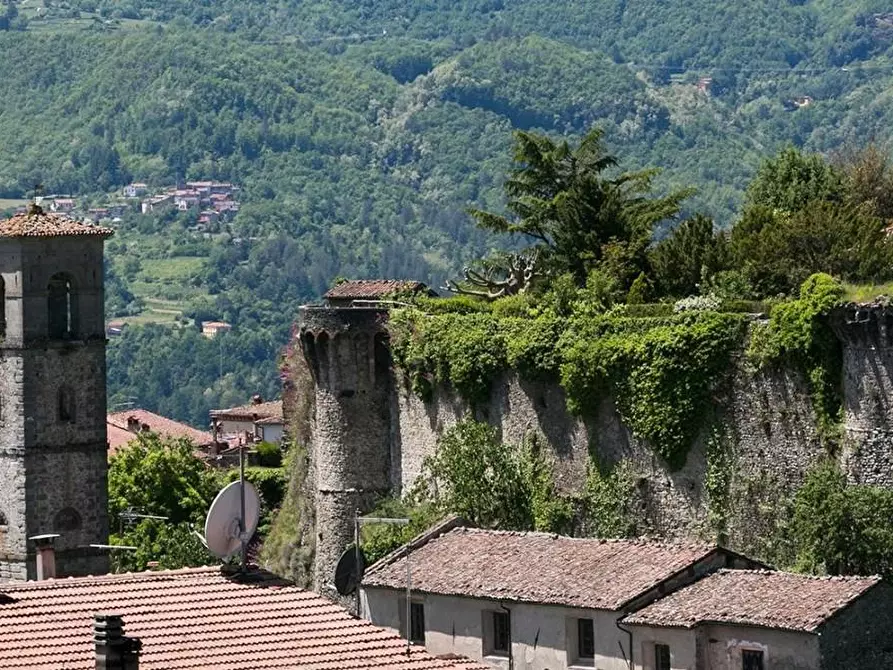 Immagine 26 di Casa indipendente in vendita  a Castiglione Di Garfagnana