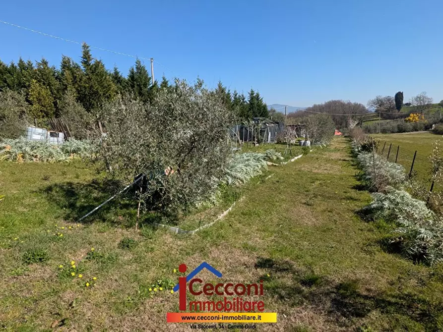 Immagine 13 di Appartamento in vendita  a Cerreto Guidi