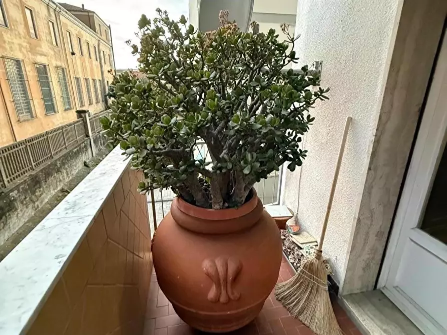 Immagine 47 di Appartamento in vendita  a Massa