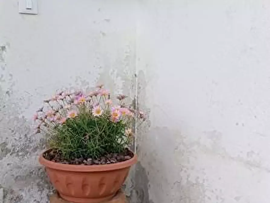 Immagine 68 di Casa indipendente in vendita  a Castelnuovo Magra