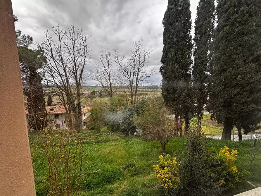 Immagine 14 di Appartamento in vendita  a Peccioli