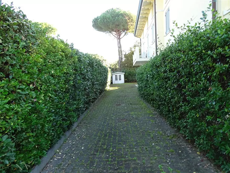 Immagine 2 di Casa trifamiliare in vendita  a Montignoso