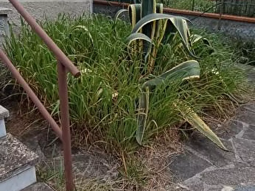 Immagine 4 di Casa indipendente in vendita  a Castelnuovo Magra