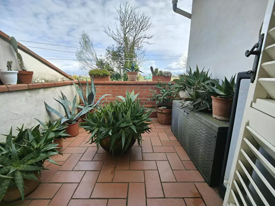 Immagine 11 di Appartamento in vendita  a Fucecchio