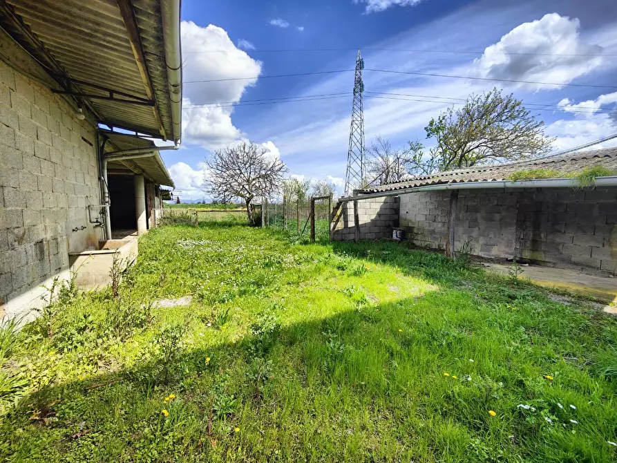 Immagine 11 di Casa indipendente in vendita  a Santa Croce Sull'arno