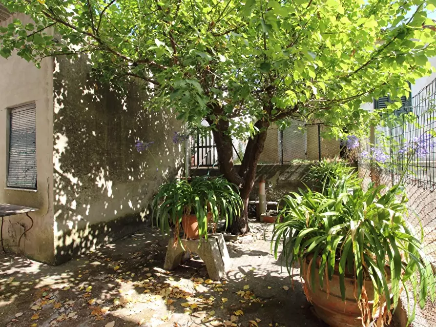 Immagine 1 di Casa semindipendente in vendita  a Lucca