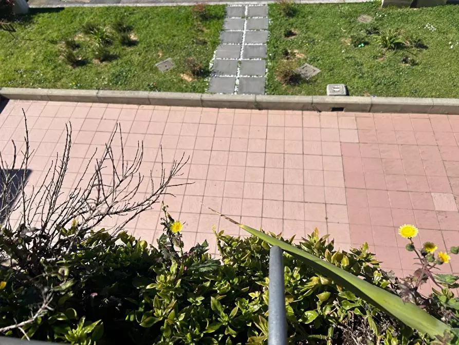 Immagine 13 di Appartamento in vendita  a Empoli