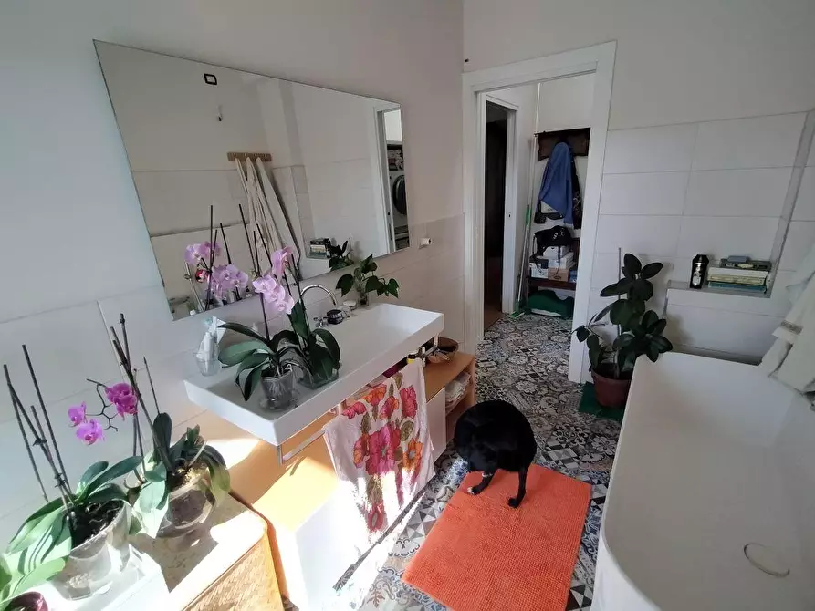 Immagine 24 di Villetta a schiera in vendita  a Massa