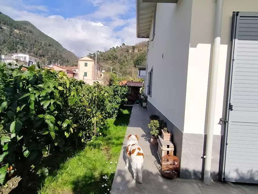 Immagine 20 di Villetta a schiera in vendita  a Massa