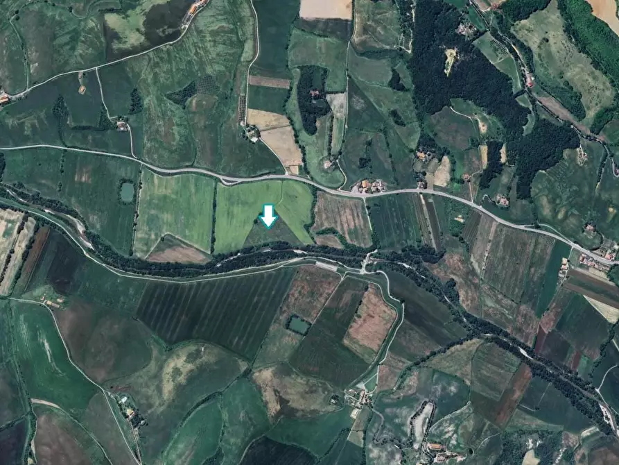 Immagine 1 di Terreno agricolo in vendita  a Lajatico