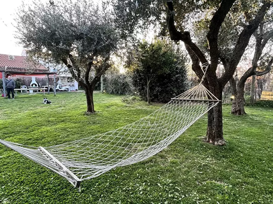 Immagine 12 di Terratetto in vendita  a Seravezza