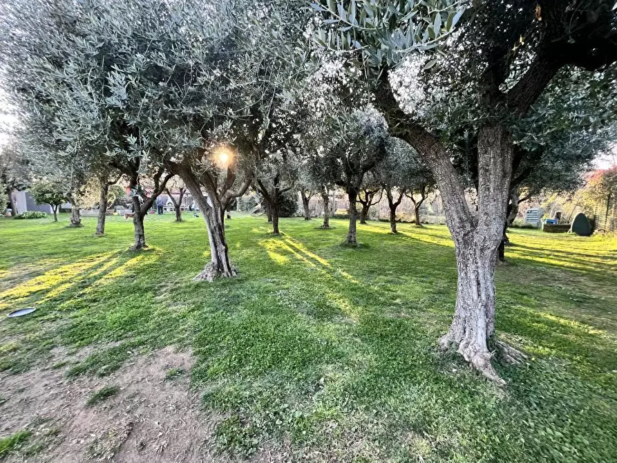 Immagine 13 di Terratetto in vendita  a Seravezza