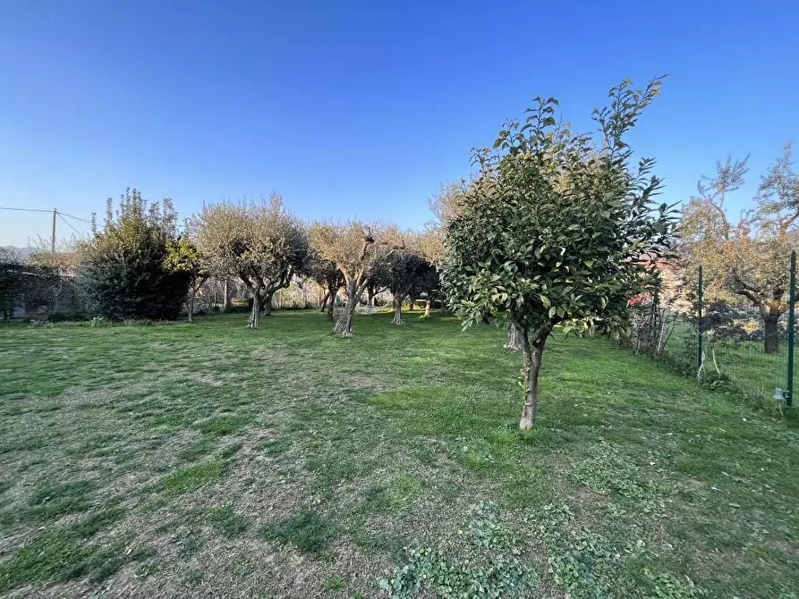 Immagine 11 di Terratetto in vendita  a Seravezza