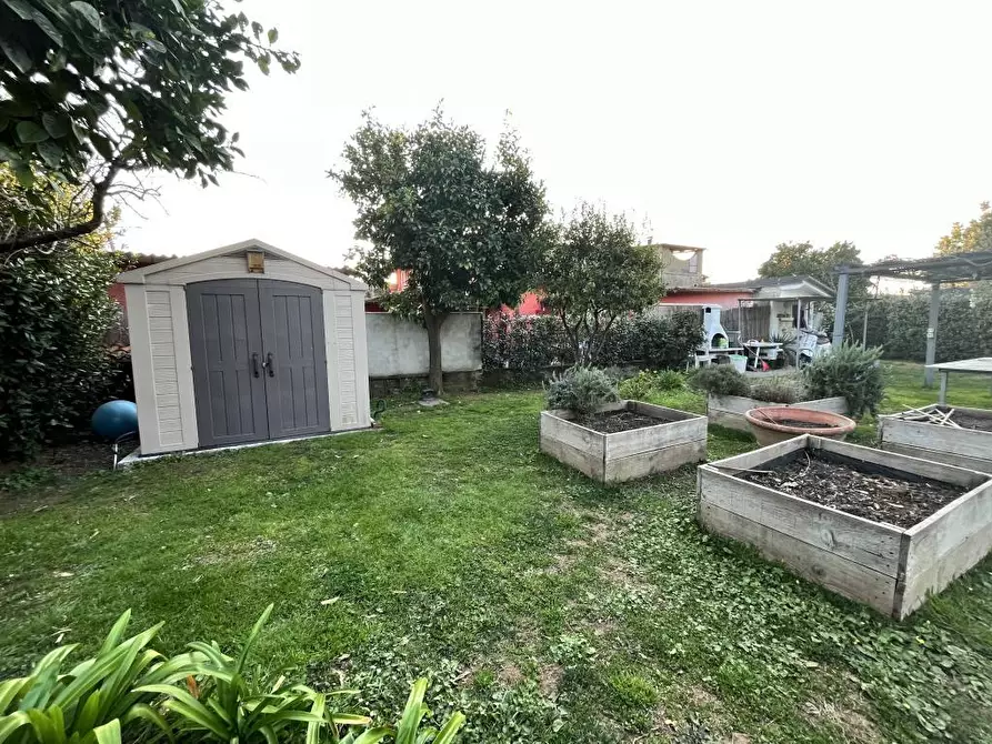 Immagine 10 di Terratetto in vendita  a Seravezza