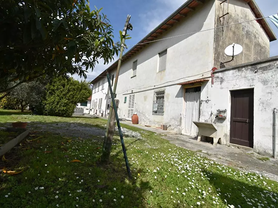 Immagine 76 di Casa colonica in vendita  a San Giuliano Terme