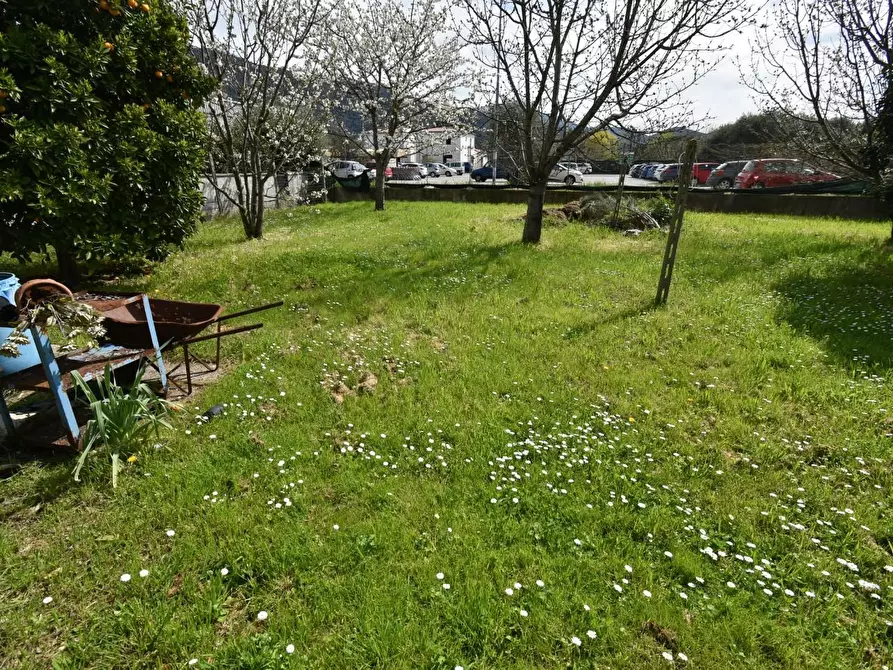 Immagine 66 di Casa colonica in vendita  a San Giuliano Terme