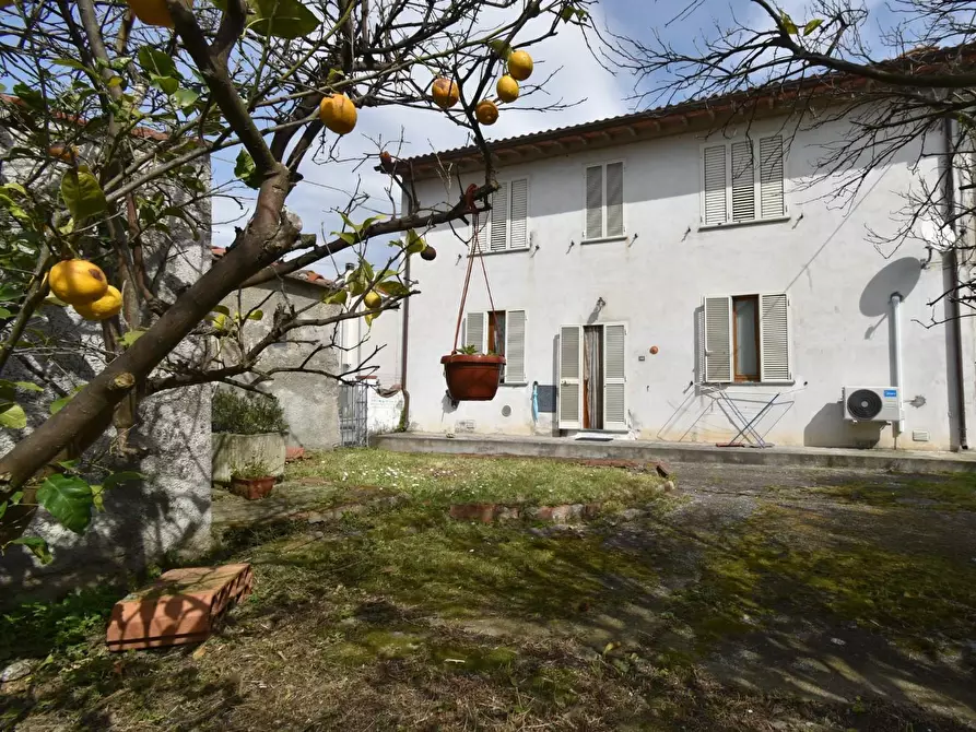 Immagine 70 di Casa colonica in vendita  a San Giuliano Terme