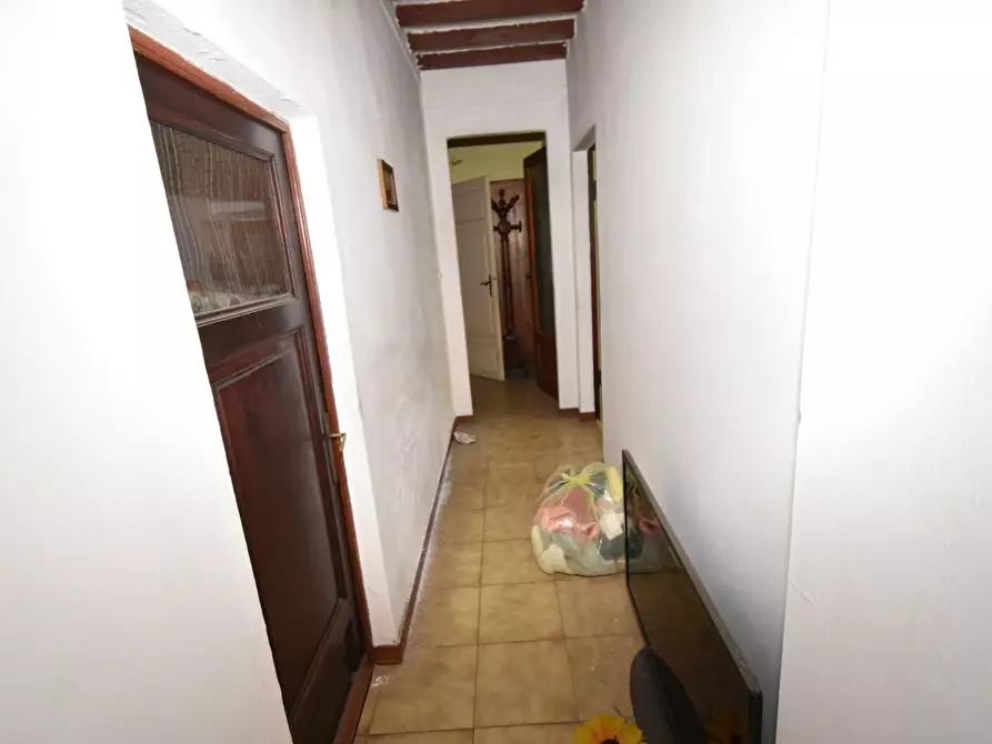 Immagine 48 di Casa colonica in vendita  a San Giuliano Terme