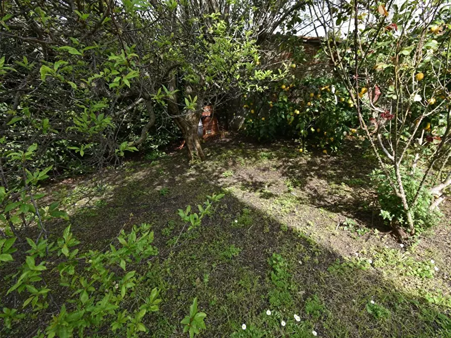 Immagine 34 di Casa colonica in vendita  a San Giuliano Terme